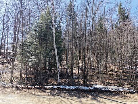 0 Mink Lot 17 Road, Dysart et al