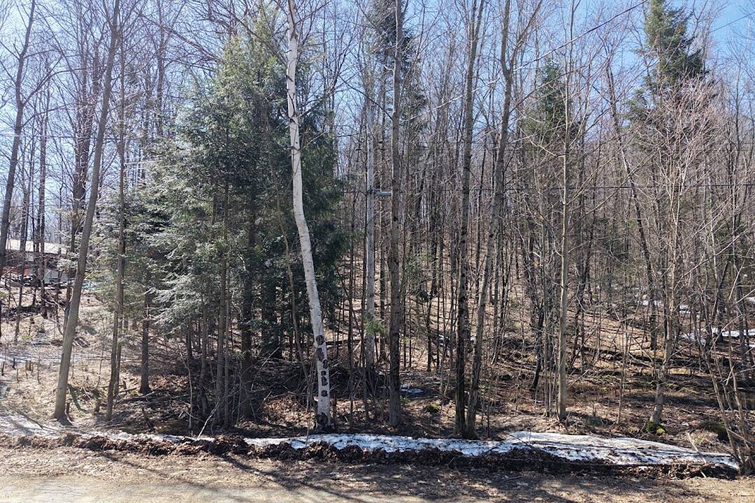 0 Mink Lot 17 Road, Dysart et al, Ontario