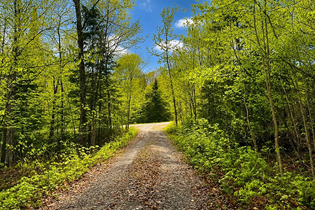 Ch. du Lac-de-la-Carpe, Lac-des-Plages, Québec