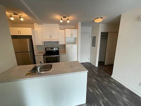 2085 Av. Papineau, Apt. 308, Ville-Marie