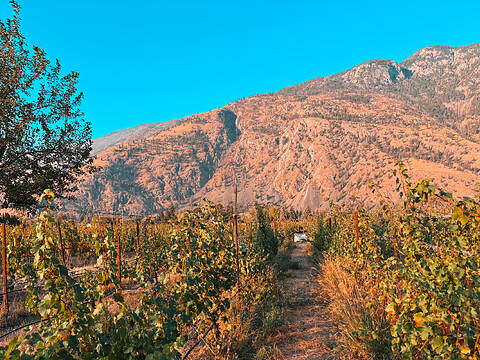 2155 Newton Road, Cawston