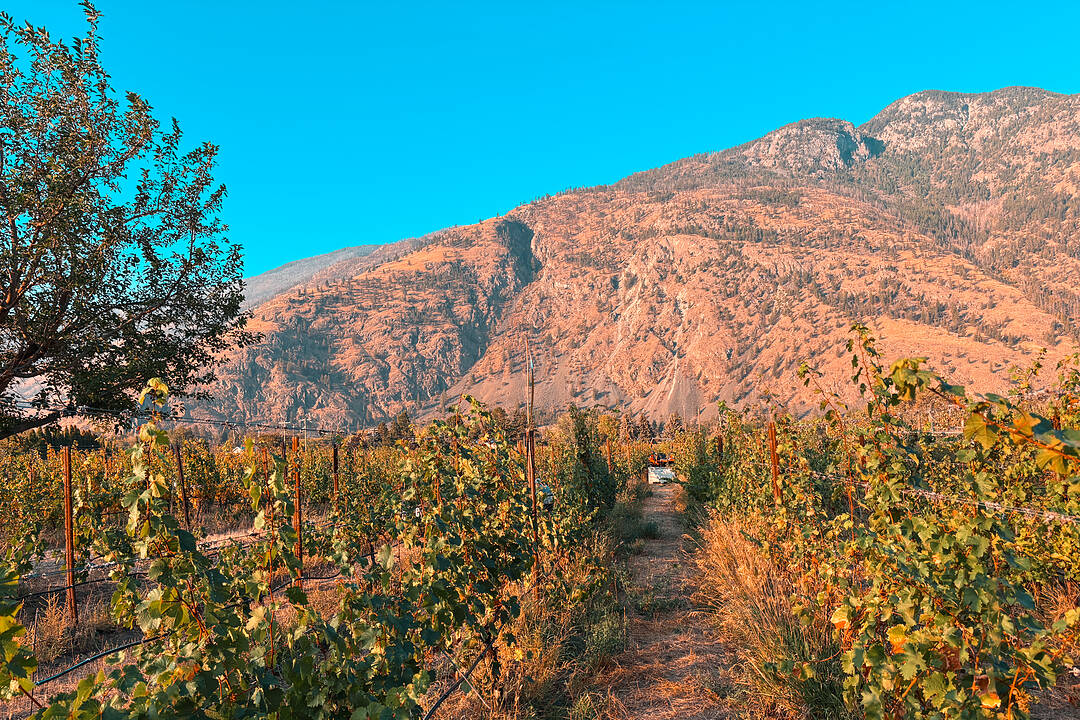 2155 Newton Road, Cawston, British Columbia