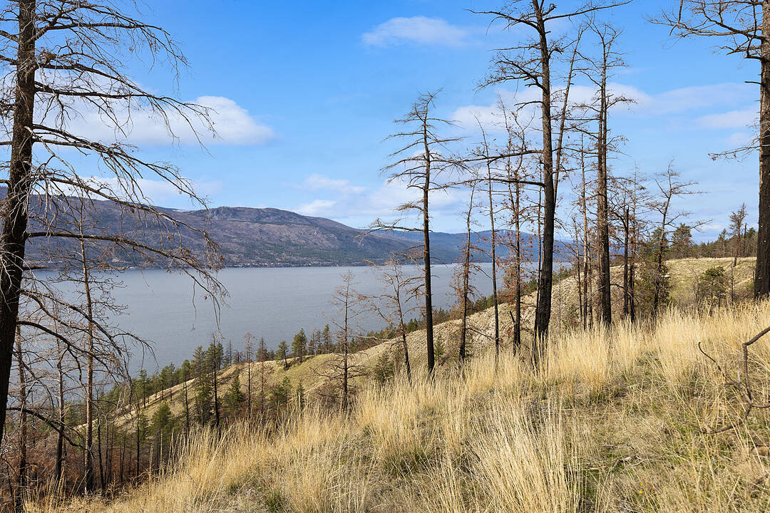 Lot 20 Tyndall Road, Lake Country, British Columbia
