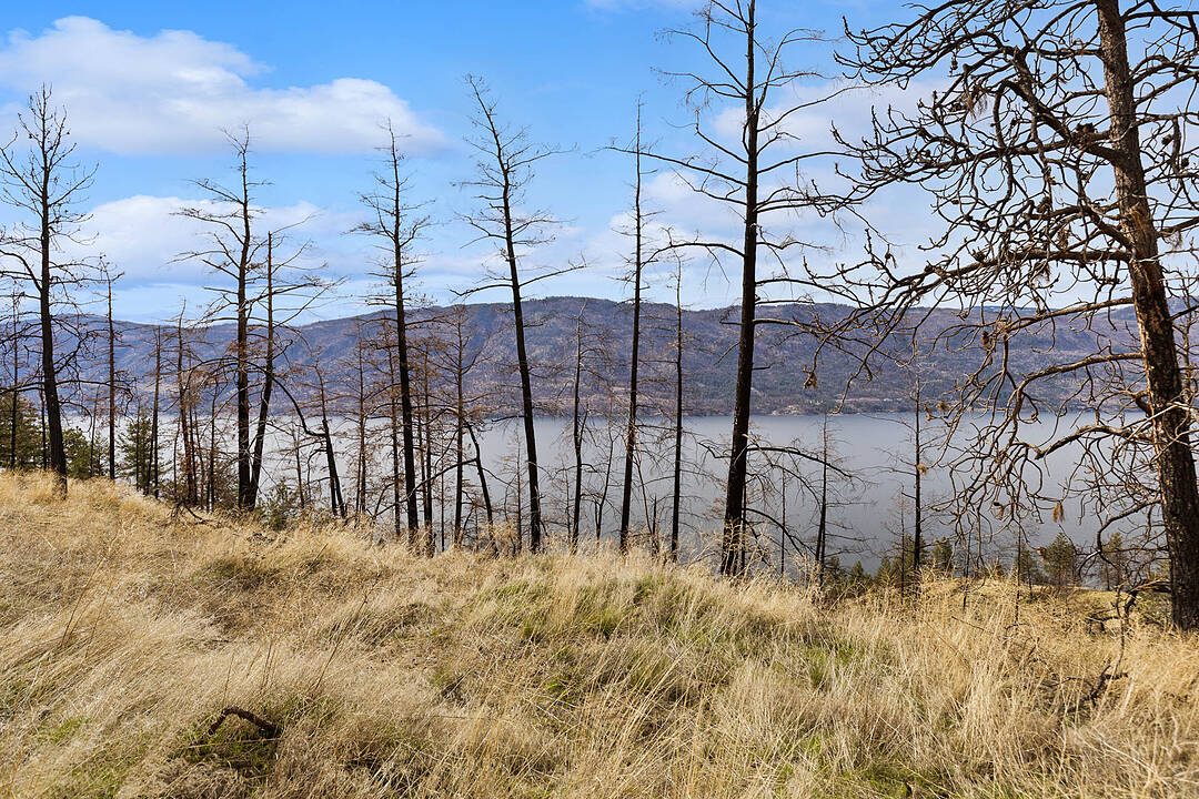 Lot 26 Tyndall Road, Lake Country, British Columbia