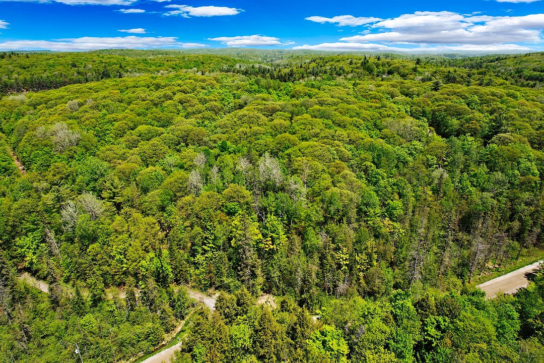 Mtée St-Amour, Cantley, Québec