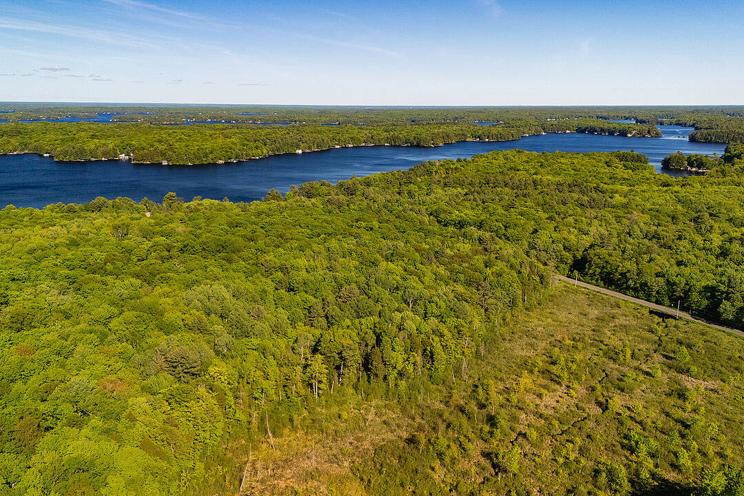 0 Dudley Rd, Muskoka Lakes, Ontario