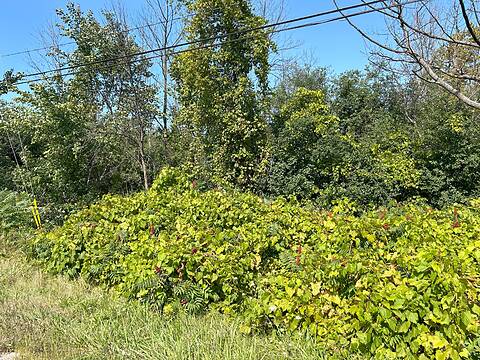9736 Beachwood Road, Collingwood