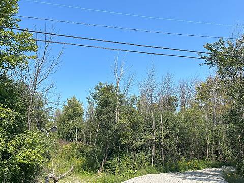 9742 Beachwood Road, Collingwood