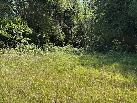 6906 Cranberry Street, Powell River