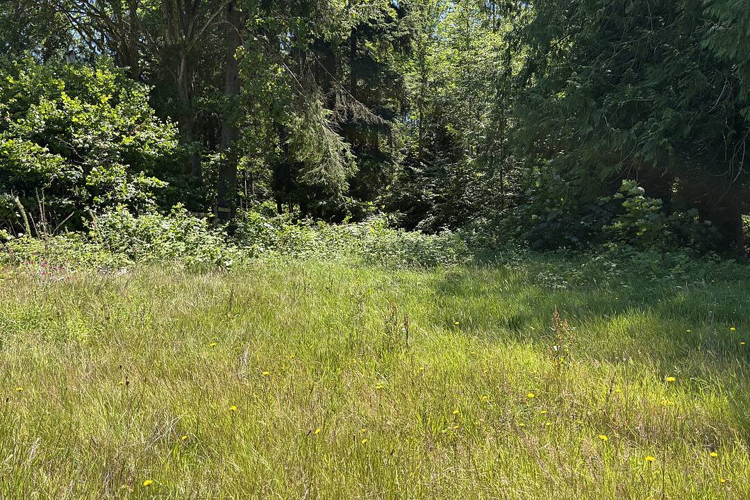 6906 Cranberry Street, Powell River, British Columbia