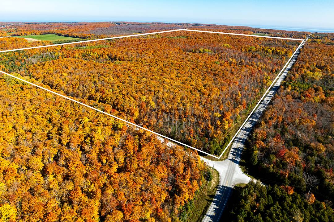 589141 Grey Rd 19 Rd, Blue Mountains, Ontario