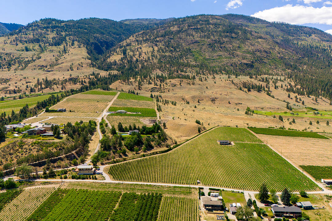 583 Tinhorn Creek Road, Oliver, British Columbia