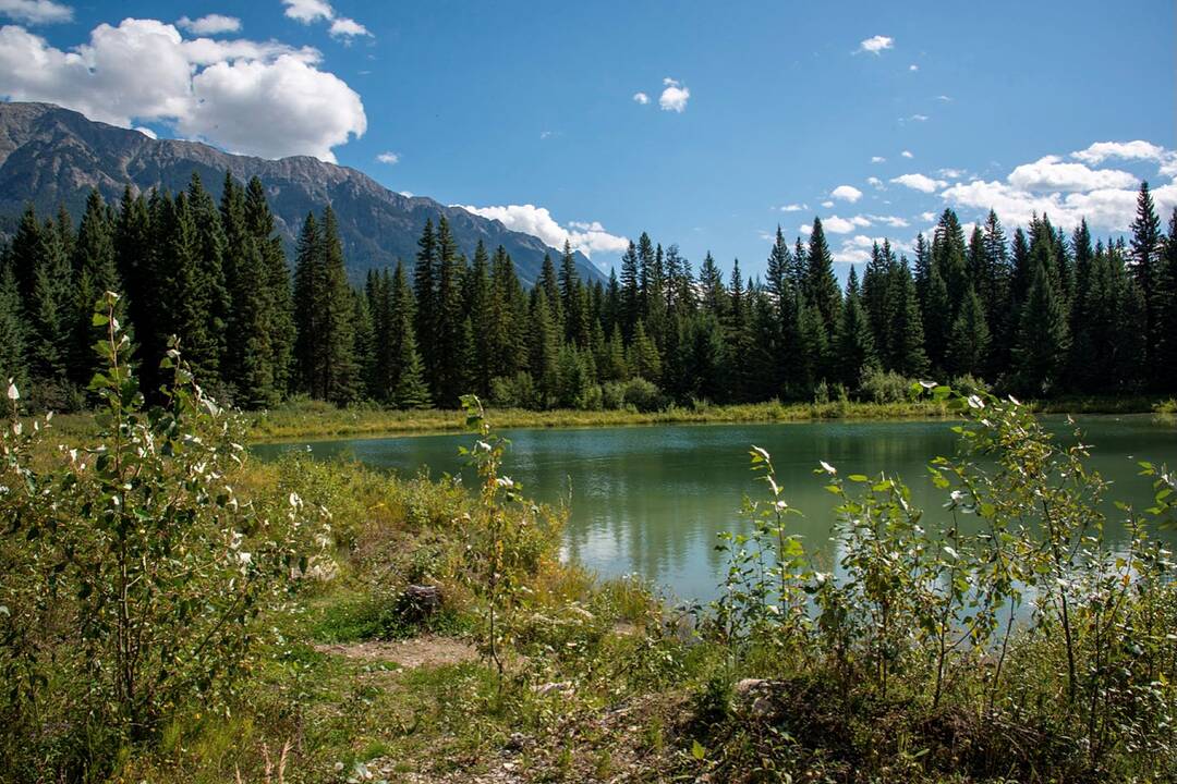 4227-4233 Beaverfoot Forest Service Road, Golden, British Columbia