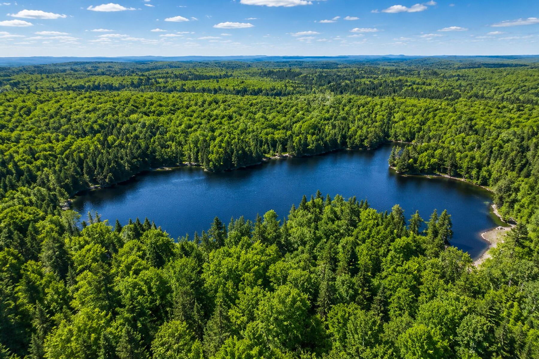 Vue aérienne du lac Dinel et du domaine boisé du chemin des Vallons, Brownsburg-Chatham