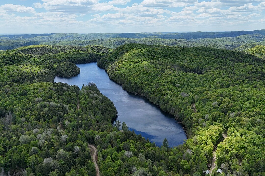 93 Ch. Peterswood, Mulgrave-et-Derry, Québec