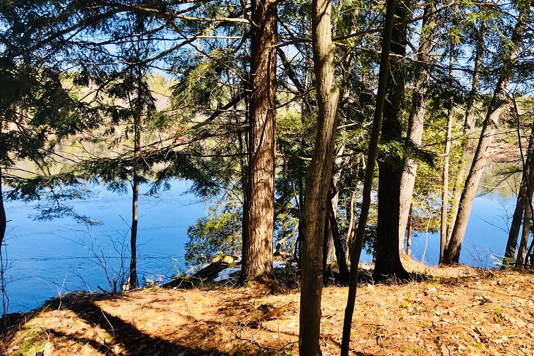 3197 Severn River Rd, Severn, Ontario