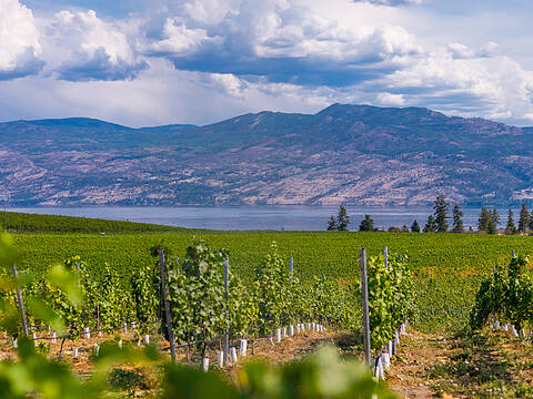 3898 Brown Road, West Kelowna
