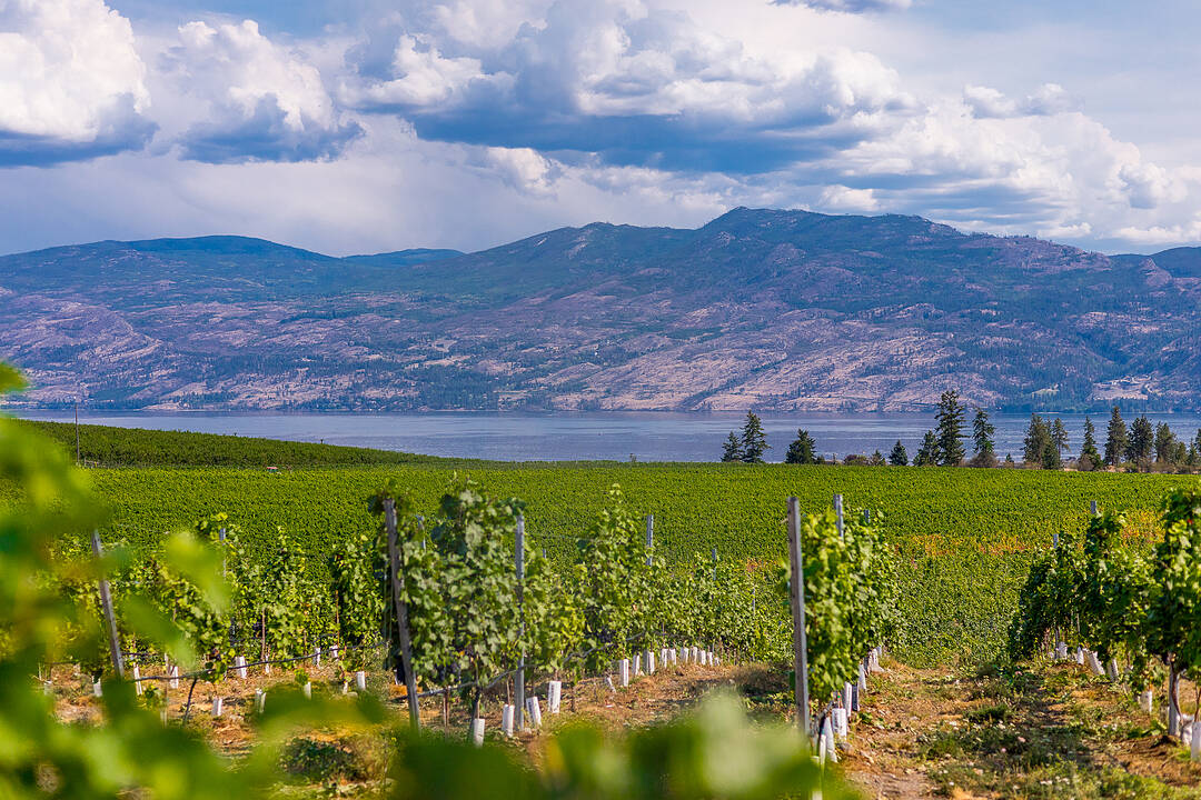 3898 Brown Road, West Kelowna, British Columbia