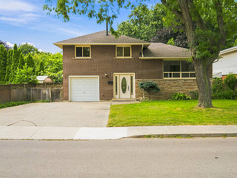 7 Delmar Drive, Hamilton