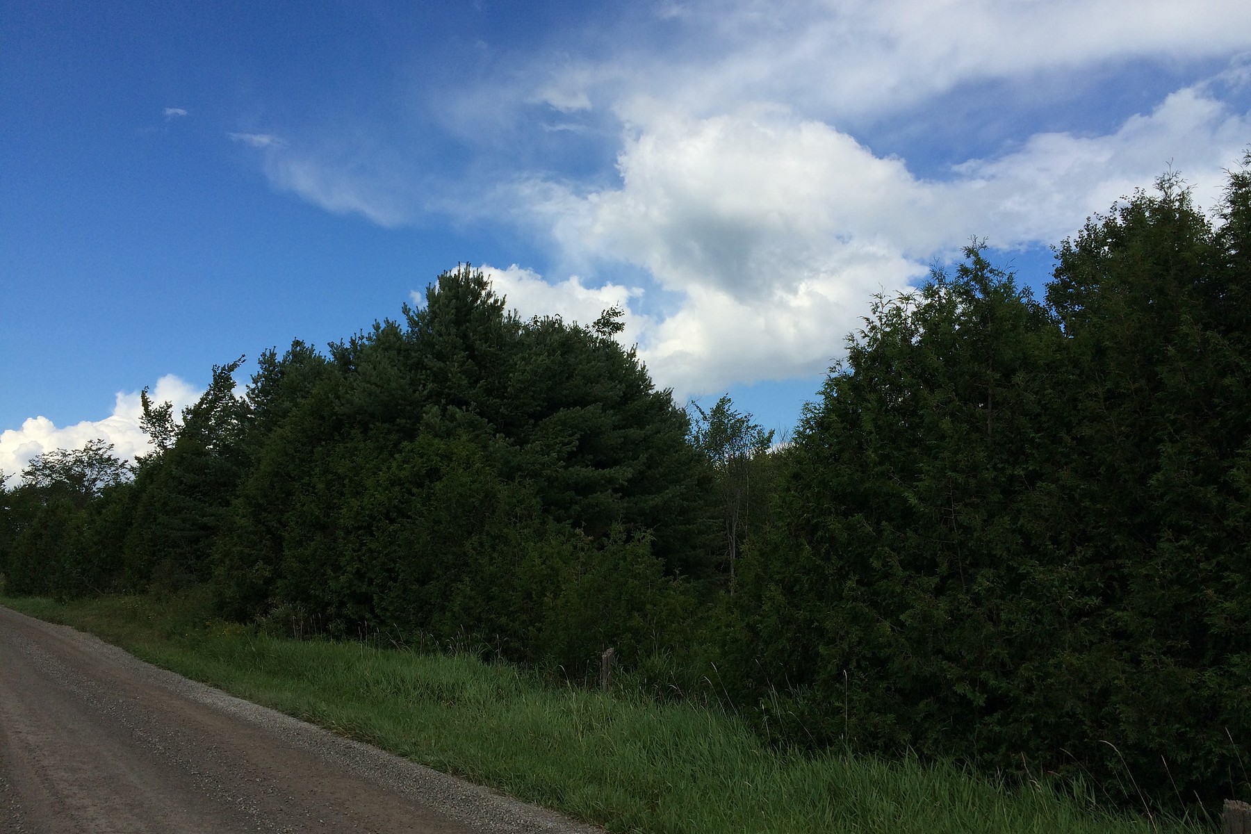 Blue Mountain Road South, Lansdowne, Ontario Sotheby's International Realty Canada